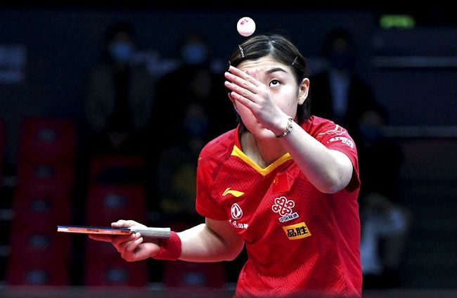 引进和发展 引进和发展