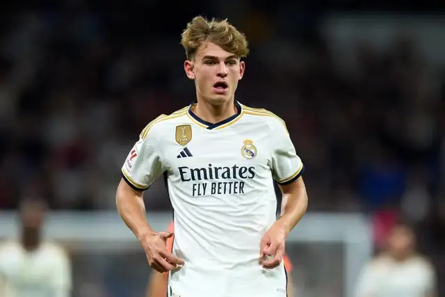 植物与缠绕 植物与缠绕